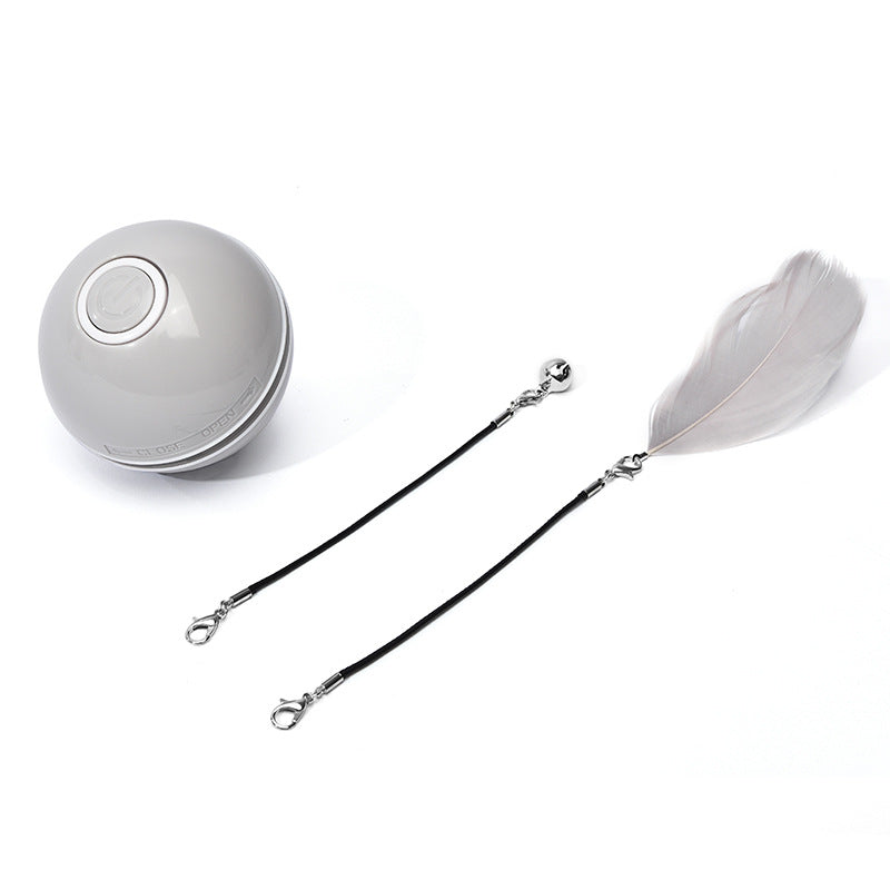 Electronic Laser Interactive Cat Toy