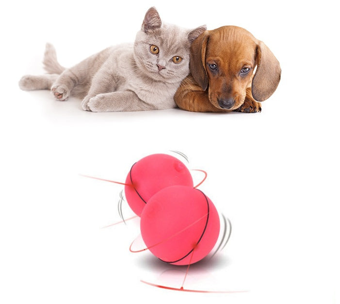 Electronic Laser Interactive Cat Toy
