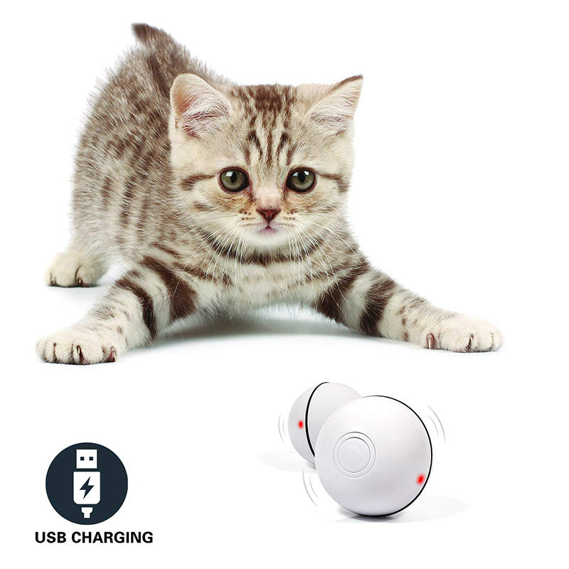 Electronic Laser Interactive Cat Toy