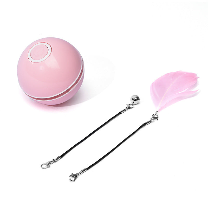 Electronic Laser Interactive Cat Toy