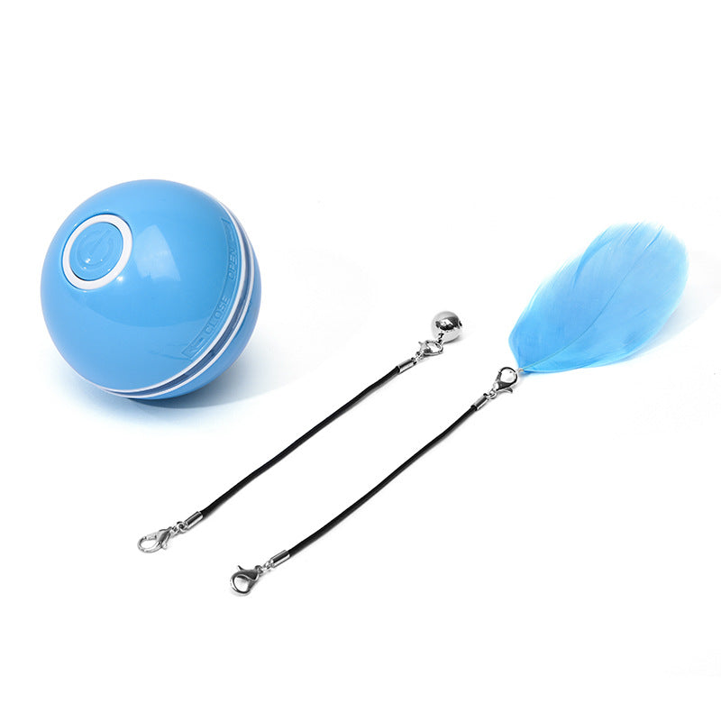 Electronic Laser Interactive Cat Toy